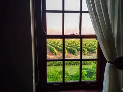 fenêtre avec vue sur un vignoble