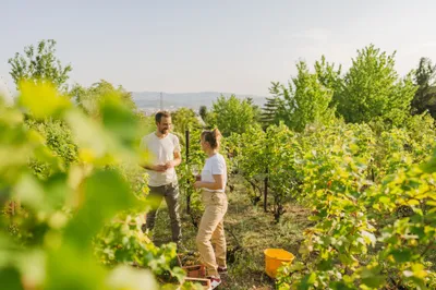 couple qui fait une dégustation de vin dans un vignoble