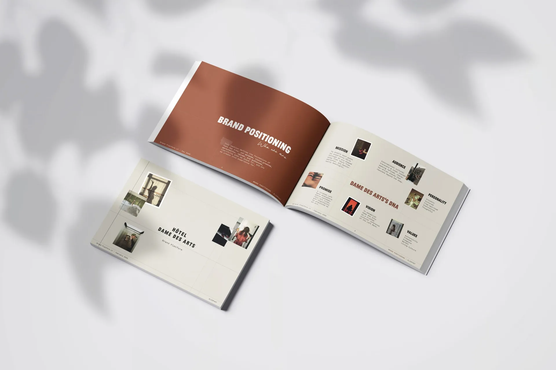 brand-book-dame-des-arts